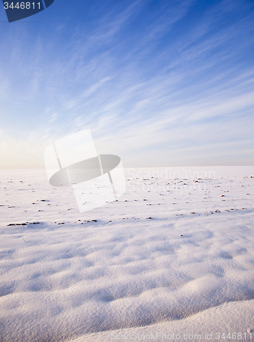 Image of field in the winter  