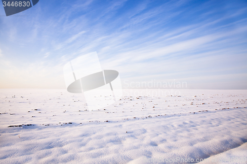 Image of snow-covered field  