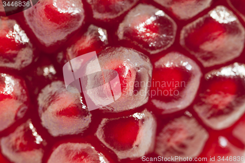 Image of pomegranate 