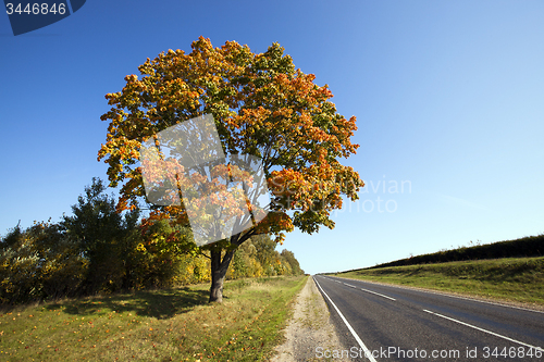 Image of the autumn road  