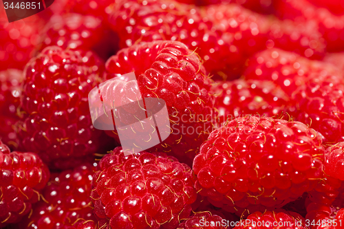Image of ripe raspberry 
