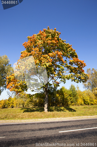 Image of road. autumn 