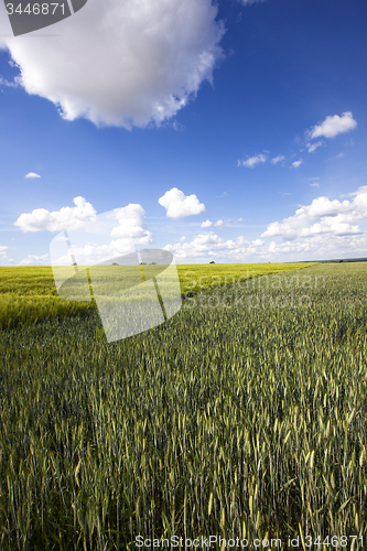 Image of agricultural field  