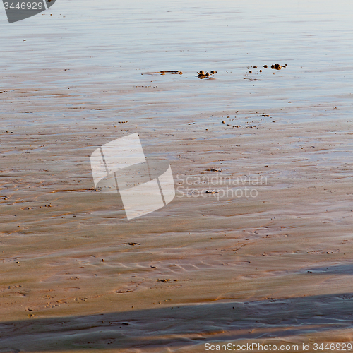 Image of abstract in morocco  sea africa ocean wave and  bird