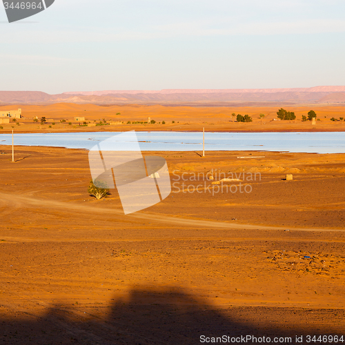 Image of sunshine in the lake yellow  desert of morocco sand and     dune