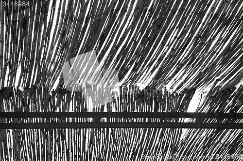 Image of morocco abstract bamboo roof in the  africa  sky
