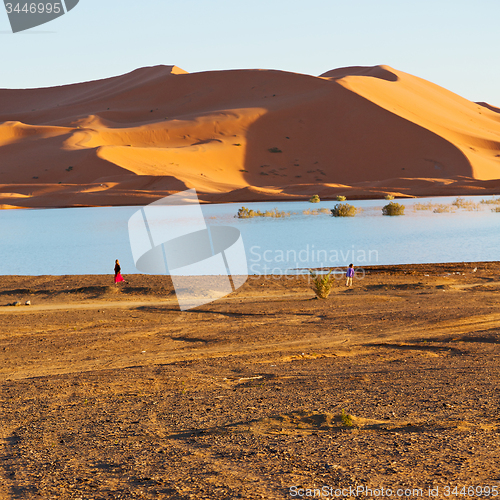 Image of sunshine in the lake yellow  desert of morocco sand and     dune