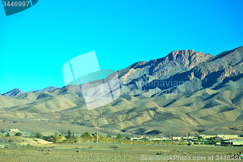 Image of bush  in       morocco     africa the atlas dry mountain  