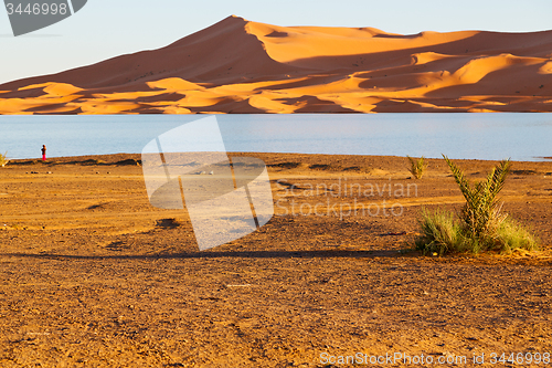 Image of sunshine in the lake yellow  morocco     dune