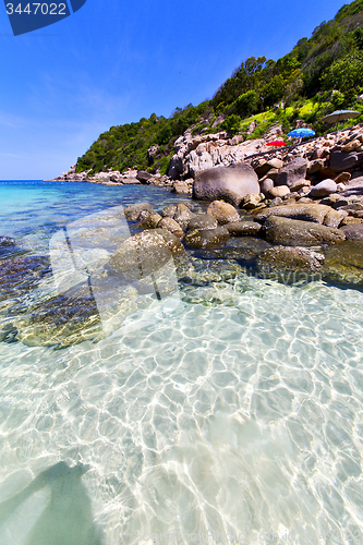 Image of   asia   the bay kho tao  isle white  beach    parasol