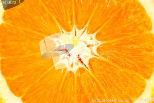 Image of Detail from a Orange Slice