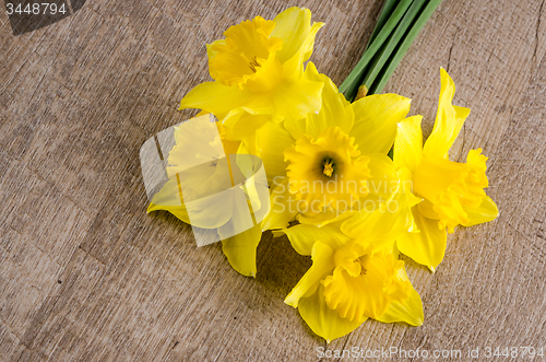 Image of Jonquil flowers