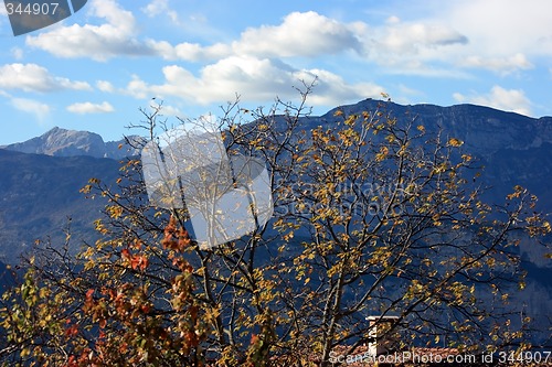 Image of Alpine autumn