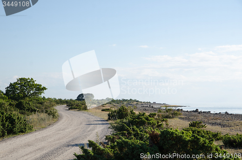 Image of Winding gravel road