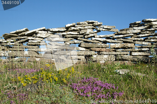 Image of Summer flowers by an old stone wall