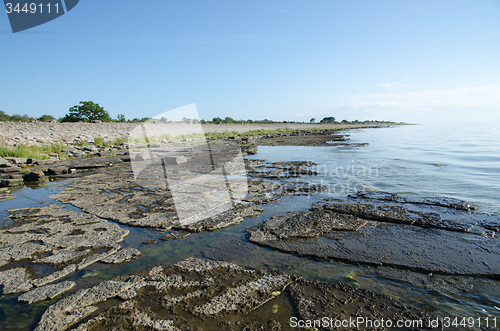 Image of Flat rock limestone coast