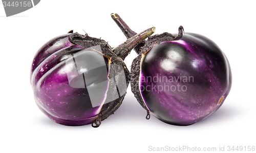 Image of Two round ripe eggplant