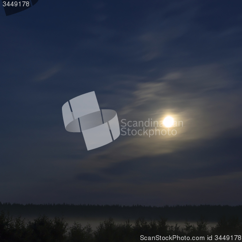 Image of Night moon over forest