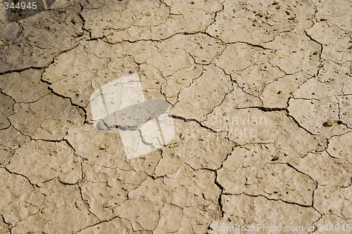 Image of Cracked Mud Background