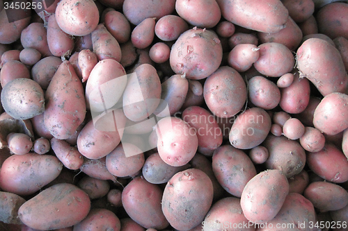 Image of red potatoes background