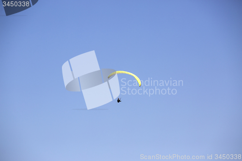 Image of Paraglider