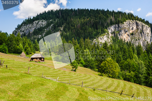 Image of Single house on a meadow in mountains