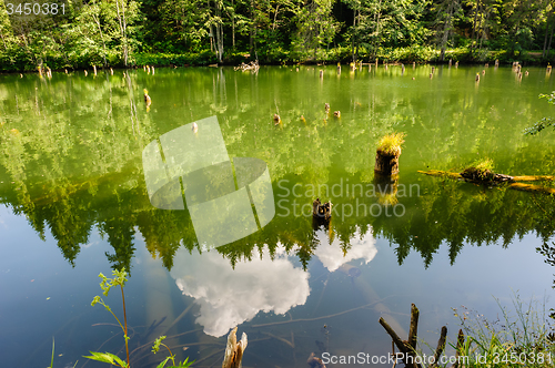 Image of Lacul Rosu the Red Lake, Eastern Carpathians, Romania