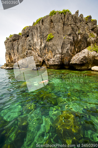 Image of asia in the  kho phangan isles bay      thailand  swimming snork