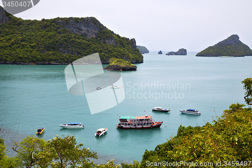 Image of  boat of a  green lagoon and tree 