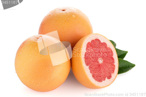 Image of Ripe red grapefruit