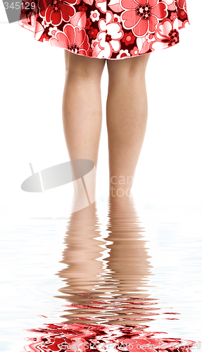 Image of Female legs