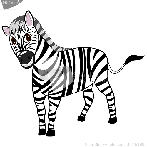 Image of Funny Cartoon Zebra