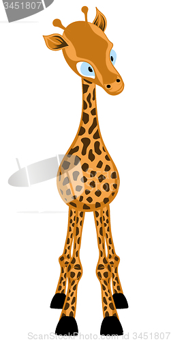 Image of Funny Cartoon Giraffe