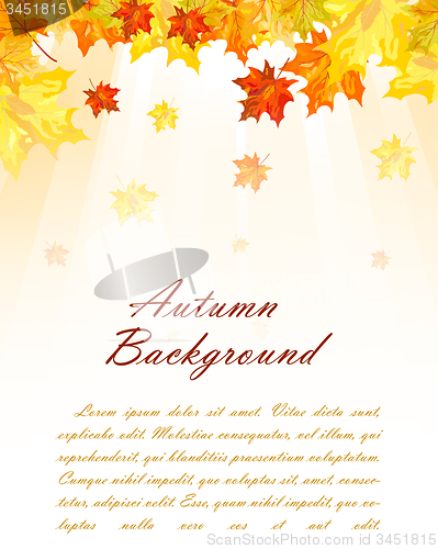 Image of Autumn  Frame