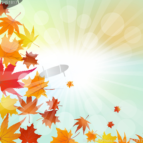 Image of Autumn  Frame