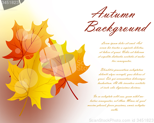 Image of Autumn  Frame