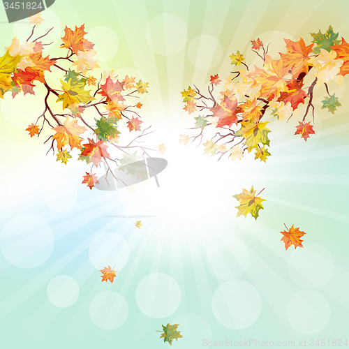 Image of Autumn  Frame