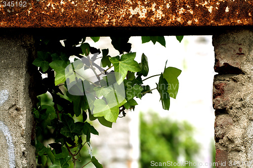 Image of broken window