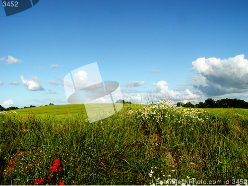 Image of edge of a field