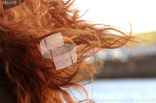 Image of Red Hair