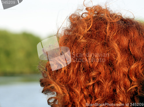 Image of Red Hair