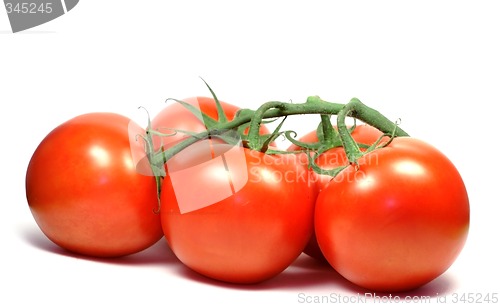 Image of Tomatoes