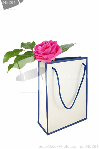 Image of Shopping Bag