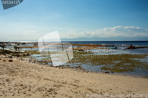 Image of Plantations of seaweed on beach in Bali, Nusa Penida