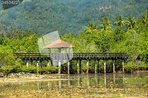 Image of Indonesian landscape with mangrove and view point walkway