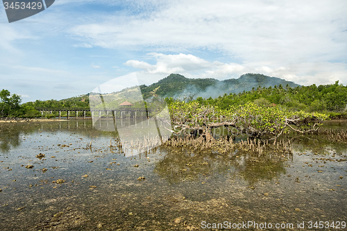 Image of Indonesian landscape with mangrove and walkway