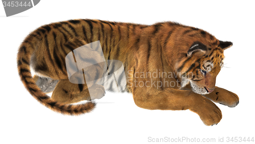 Image of Tiger