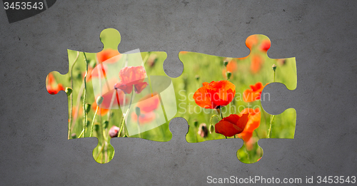 Image of summer blooming poppy field over gray concrete