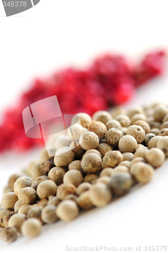 Image of Red and white peppercorns