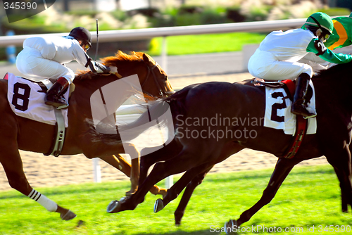 Image of Horses racing